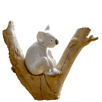 visitnoosa yoga fishing hiking koala Sticker