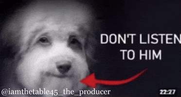 Dont Listen GIF