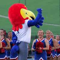 Waving Big Jay GIF by University of Kansas