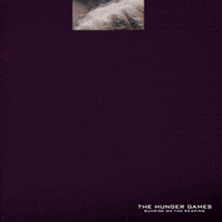 The Hunger Games Quarter Quell GIF by Lionsgate