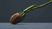 time lapse film GIF by AnOther