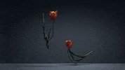 time lapse film GIF by AnOther