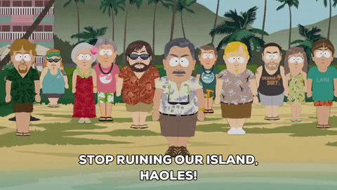 vacation tourists GIF by South Park 