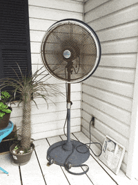 summer fan GIF by Scott Csoke