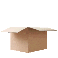 Compras Eyewear Sticker by Signus