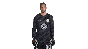Germany Football Sticker by VfL Wolfsburg