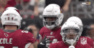 2018 Nfl Football GIF by NFL