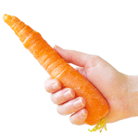 Plants Cooking Sticker