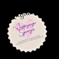 MikeSterren schweiz weddings hochzeit weddingsinger GIF