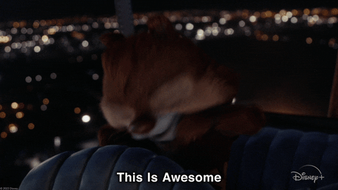 This Is Awesome Chip N Dale GIF by Disney+