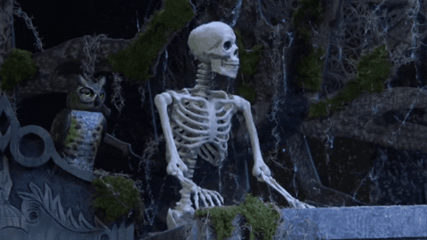 puelladocta giphygifmaker halloween snl spoopy GIF