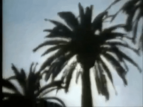 Los Angeles Sun GIF by U.S. National Archives