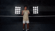 Georgia Tech Atlanta GIF by Georgia Tech Yellow Jackets