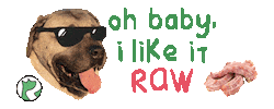 Fresh Food Sticker by realdogbox