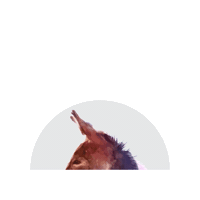 Maurythemule Sticker by Maury Alliance