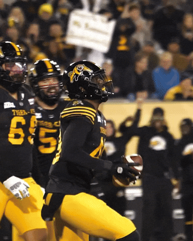 Tiger-Cats Football GIF by Hamilton Sports Group