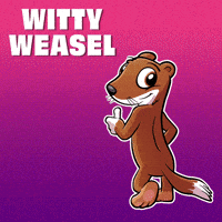 GIF by VeeFriends