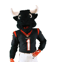 Texans Mascot Mic Drop Sticker by Houston Texans
