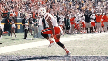 university of miami touchdown GIF by Miami Hurricanes