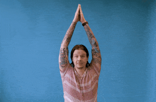 thank you very much GIF by Mailchimp