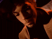 prince somebody's somebody GIF
