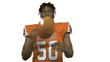 Cnfb Sticker by Carson-Newman Athletics