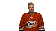 No Way Hockey Sticker by Carolina Hurricanes