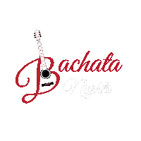 BachataVida dance bachatavida dance company bachatavida Sticker