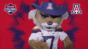 Excited College Sports GIF by College Colors Day