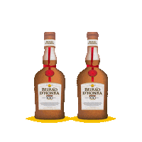 Dia Dos Namorados Love Sticker by Licor Beirão