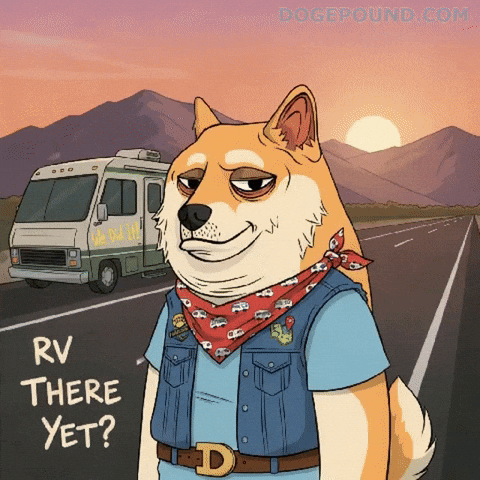Tired Road Trip GIF by Doge Pound