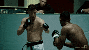 karatecombat sports sport mma fighter GIF