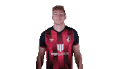 Football Shrug Sticker by AFC Bournemouth
