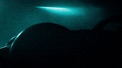 Formula 1 Sport GIF by Mercedes-AMG Petronas Formula One Team