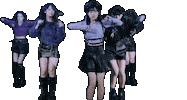 Girl Group Idol Sticker