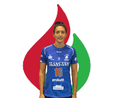Volleyball Ohnoo Sticker by AsotraPłomieńSosnowiec