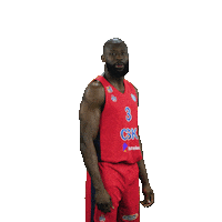 Sport Basketball Sticker by CSKA Moscow