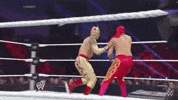 GIF by WWE