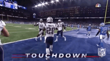 new england patriots football GIF by NFL