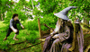 lord of the rings GIF