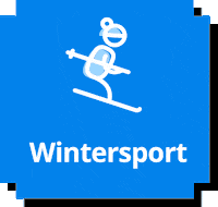 Weeronline animation wintersport winter sports weeronline GIF