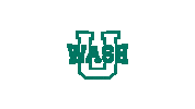 Washu Bears Sticker by WashU