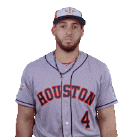 Houston Astros No Sticker by MLB