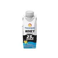 Piracanjuba piracanjuba piracanjubawhey whey pirawhey protein proteina treino musculacao academia yoga exercicio banana cacau frutasvermelhas pastadeamendoim batatadoce baunilha zerolactose zero lactose baunilha zerolactose zero Sticker