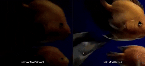 Digital_Too giphygifmaker GIF