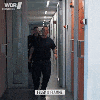 fire slide GIF by WDR