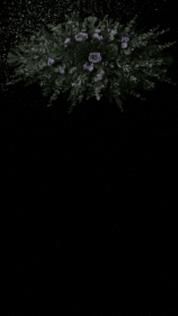 Gizemrussell GIF by hasans rugs