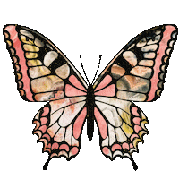 Butterfly Jewelry Sticker by Jacquie Aiche