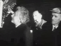albert einstein GIF