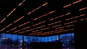 contemporary art installation GIF by Art21
